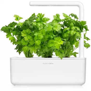Click & Grow snijselderij plantcupsules voor Smart Garden, 3-pack (SGR97X3)