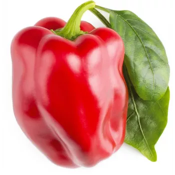 Click & Grow SGR63X3 Smart Garden 3 plantcupsules navulling (3 cupsules, biologisch afbreekbaar, voorgeplant, Smart Soil)