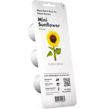 Click & Grow mini-zonnebloem plantcupsules voor Smart Garden, 3-pack (SGR65X3)