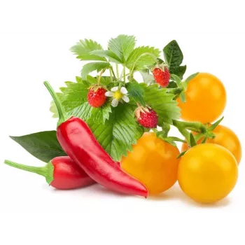 Click & Grow fruit- en groentemix plantcapsules voor Smart Garden, 9-pack (PPMFVX9)