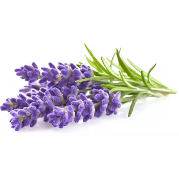 Click & Grow Smart Garden navulverpakking lavendel, 3 plantcapsules (SGR30X3)