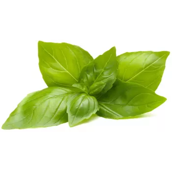 Click & Grow citroenbasilicum plantcapsules voor Smart Garden, 3-pack (SGR76X3)