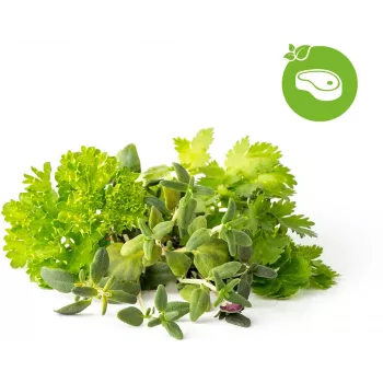 Click & Grow steak-kruidenmix plantcapsules voor Smart Garden, 9-pack (PPMSSX9)