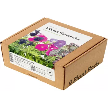 Click & Grow Vibrant Flower Mix plantcapsules voor Smart Garden, 9-pack (PPMVBX9)