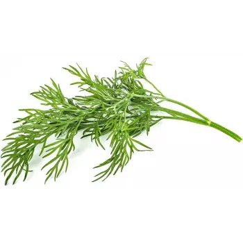 Click & Grow SGR49x3 dille plantpods navulling 3-pack