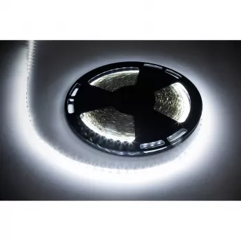 REBEL LED-stripset 25m 1500x5050 SMD koelwit 12V