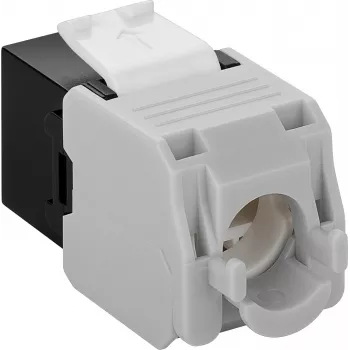DS-IT CAT6a UTP keystone-netwerkconnector - gereedschapsloos - zwart (DS-KC-UTP6A-TL-1)