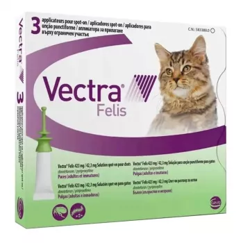 Ceva Vectra Felis spot-on vlooienbehandeling voor katten – 3 pipetten