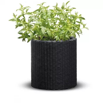 KETER 29197833939 cilinder plantenbak grijs 12L duurzame bloempot van hars met drainage