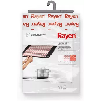 RAYEN Filter voor afzuigkap met indicator 57x47cm