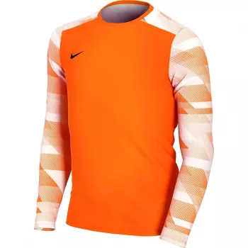 Nike Dry Park IV JSY LS GK Junior keepersweatshirt oranje CJ6072 819