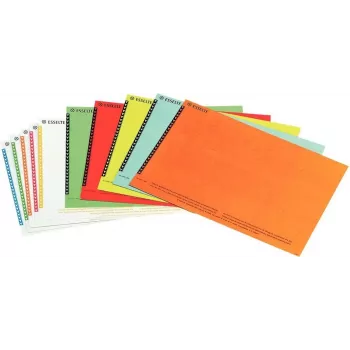 LEITZ Esselte hangmap-etiketten voor kasten, wit, 60 x 12 mm, 100 etiketten (326400)