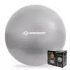 SCHILDKROT gymnastiekbal 65 cm zilver Anti-Burst 960156