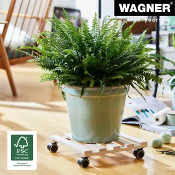Wagner design yourself Plantenroller GH 0438, vierkant, massief beukenhout, 34 x 34 x 8 cm, 4 zwenkwielen, 100 kg draagvermogen, Naturel, individueel aanpasbaar 20043801