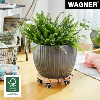 WAGNER Multiroller ERLE soft rond Ø34cm plantenroller, massief elzenhout, 100 kg, 3 zwenkwielen, vloervriendelijk 20026201