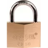 ABUS 60mm hangslot van massief messing met gehard stalen beugel, 2 sleutels (238420)