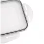 APS ijsblokjesbox met deksel, transparant/grijs, 2-delige set, polypropyleen, vaatwasmachinebestendig 36103