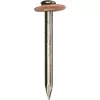 HEINRICH KOPP draadnagels 23 mm, 100 stuks, zilver 345300087
