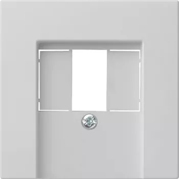 Gira System 55 afdekplaat voor TAE en USB, grijs 0276015