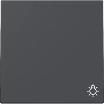 Gira System 55 wipafdekking met lichtsymbool, antraciet mat 328528