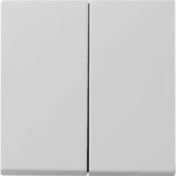 Gira System 55 2-voudige wipschakelaarafdekking, grijs 0295015