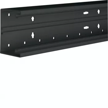 Hager BR6510019011 Tehalit BR kabelgoot onderdeel, PVC, grafietzwart, 80mm, frontvergrendeling, 2m
