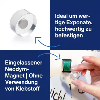 MAGNETOPLAN HOLTZ magnetoplan design magneten, 25 mm, 6-pack neodymium magneten met transparante acrylgreep, gepolijst (1680025)