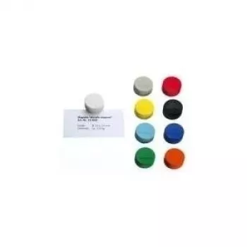 MAGNETOPLAN HOLTZ Discofix ronde magneet Magnum, groen, volkern-ferriet, hechtkracht 2,0 kg 1660005