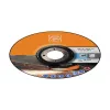 FEIN 63703005010 gebogen schuurschijf, 125 mm, asgat 22,23 mm (10 st.)