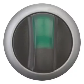 Eaton M22-WLK3-G tuimelschakelaar, zwart/groen/zilver 216837