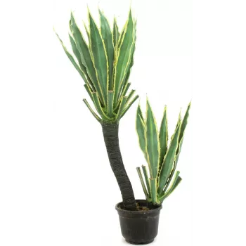EUROPALMS orchideecactus kunstplant, 160cm 82809035