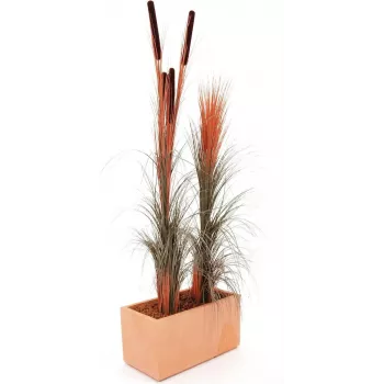 EUROPALMS kunstmatig rietgras met aren, lichtbruin, 152cm 82505856