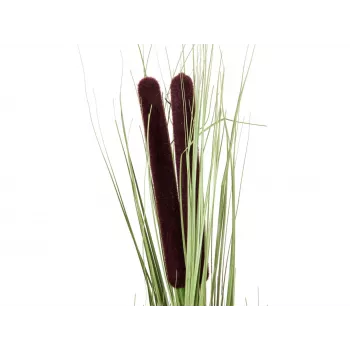 EUROPALMS kunstmatig rietgras met aren, lichtgroen, 152 cm 82505855