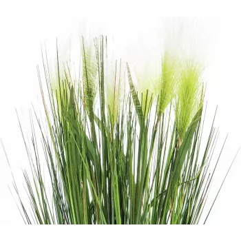 EUROPALMS vedergras kunstplant, wit, 60cm 82505864