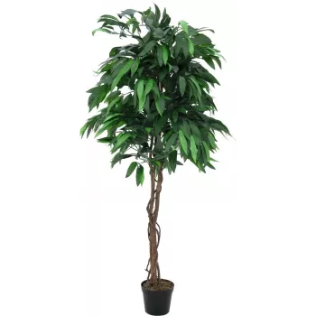 EUROPALMS kunstmatige mango-jungleboom, 180 cm 82506726