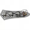 DIMAVERY controlebord voor JB-style e-basmodellen (26300222)