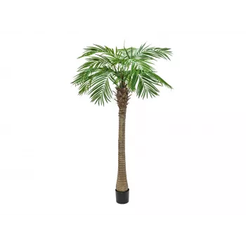 EUROPALMS Phoenix Palm Luxor, kunstplant, 240cm 82510722