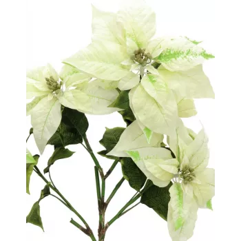 EUROPALMS kunstmatige kerstster-bos, crème, 60cm 83500433