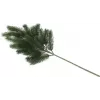 EUROPALMS dennenentak, PE, 65cm 83500420
