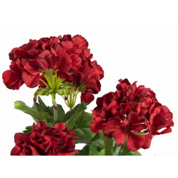 EUROPALMS kunstmatige geranium, donkerrood, 42cm 82600112