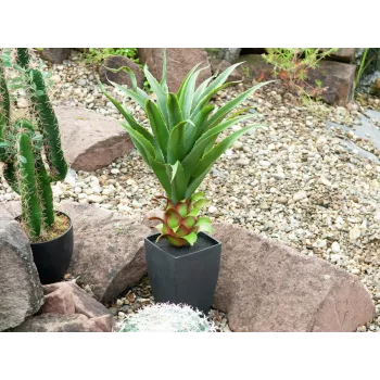 EUROPALMS agave in pot, kunstplant, 75cm 82600160