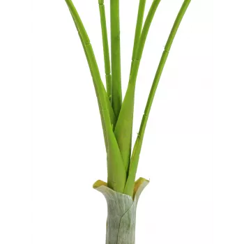 EUROPALMS Areca deluxe kunstplant, 180cm 82509443