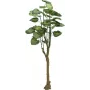 EUROPALMS Pothos boom kunstplant 175cm 82600163