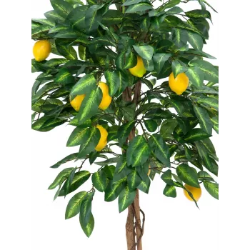 EUROPALMS kunstmatige citroenboom, 180cm 82507816
