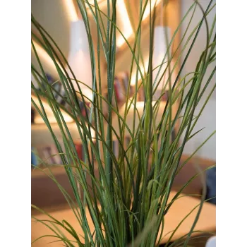 EUROPALMS kunstmatig rietgras, 145cm, groen/bruin, voorgespoten 82600229