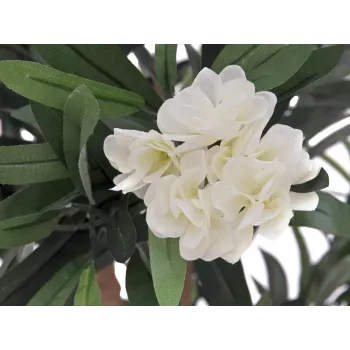 EUROPALMS oleanderboom, kunstplant, wit, 120 cm (82507246)