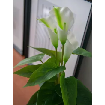 EUROPALMS Calla mini kunstmatige Calla-lelie plant, wit, 43 cm 82540347