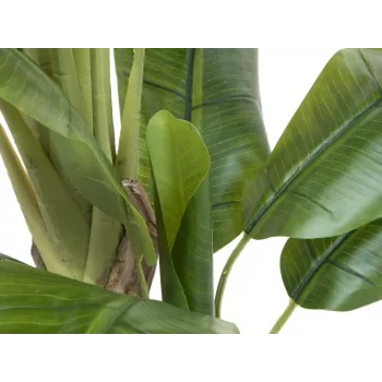 EUROPALMS kunstmatige bananenboom, 170cm, groene bladeren, zwarte pot 82509539