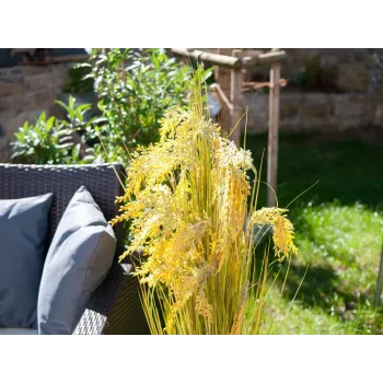 EUROPALMS kunstmatige rietgrasbundel, 118 cm 82600136