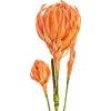 EUROPALMS kunstdahliatak (EVA), oranje 82530582